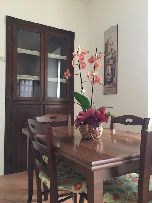 Narni.Umbria Apartment Narni Scalo ภายนอก รูปภาพ