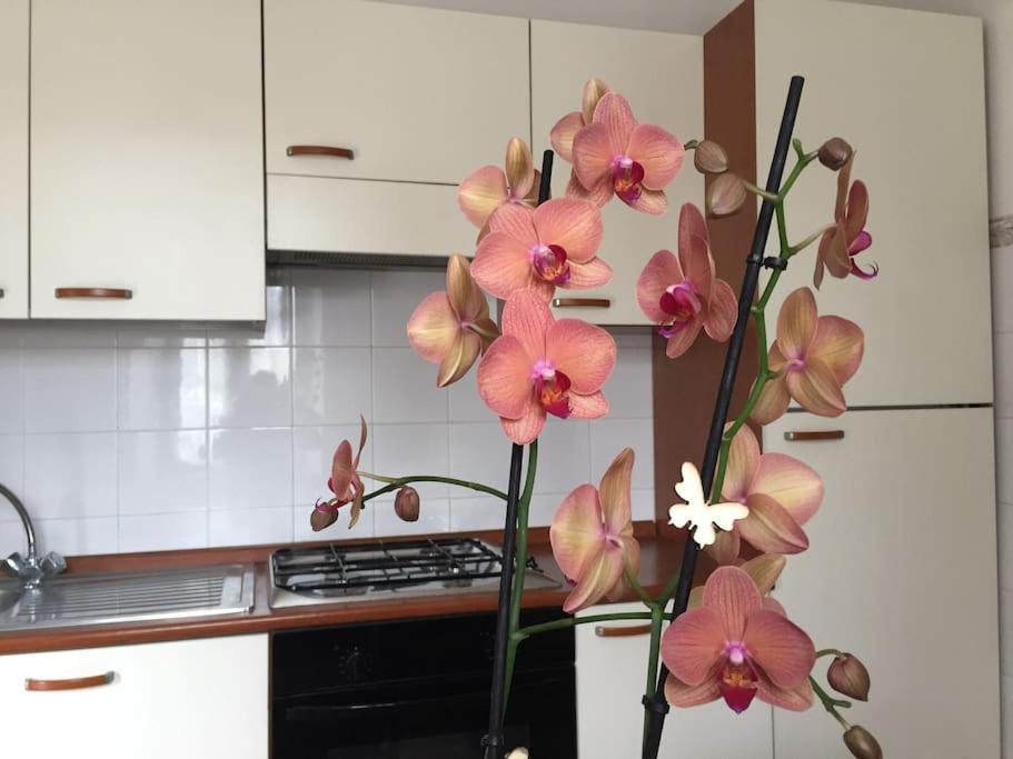 Narni.Umbria Apartment Narni Scalo ภายนอก รูปภาพ